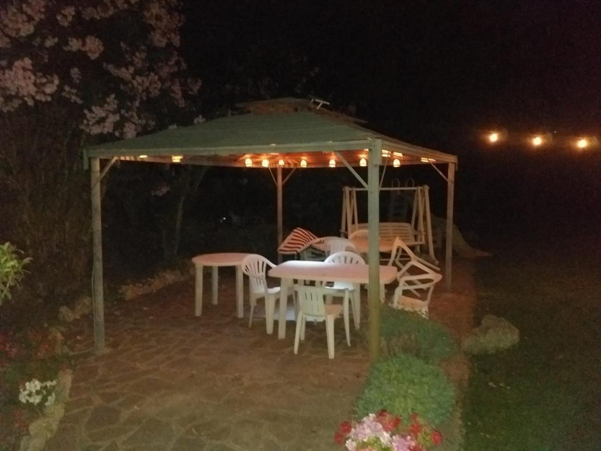 Appartement Garden Basement - Seminterrato Max 4 Ospiti - Fiumicino Vicino Aeroporto E Fiera Extérieur photo