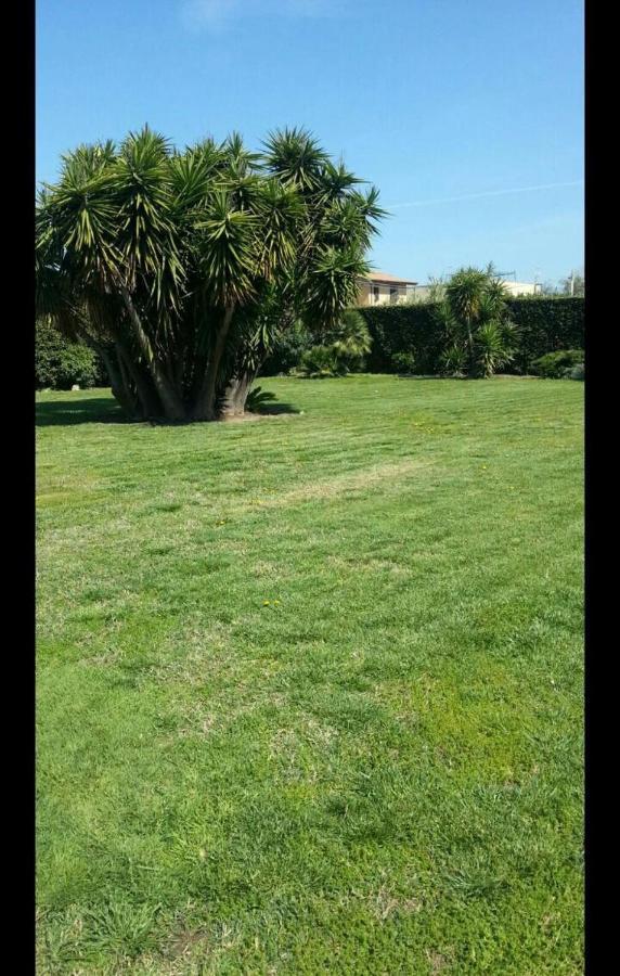 Appartement Garden Basement - Seminterrato Max 4 Ospiti - Fiumicino Vicino Aeroporto E Fiera Extérieur photo