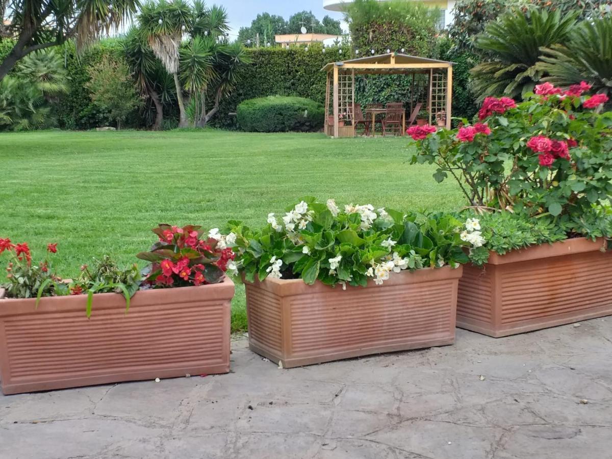 Appartement Garden Basement - Seminterrato Max 4 Ospiti - Fiumicino Vicino Aeroporto E Fiera Extérieur photo
